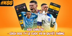 Kèo Châu Âu - Cách Đọc Tỷ Lệ Cược Và Bí Quyết Thắng